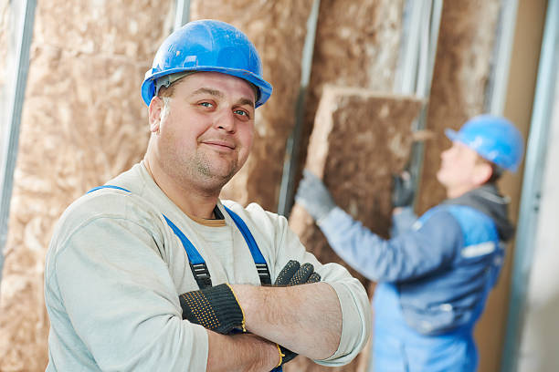 Best Insulation Maintenance and Repair in Mchenry, IL